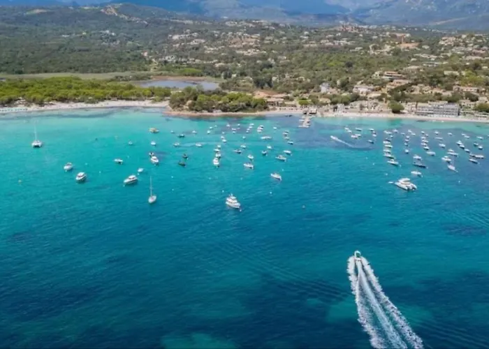 Campingplatz Zecamping 3 Piscine Club Enfant Animations Dog Friendly Hammam Porto-Vecchio (Corsica)