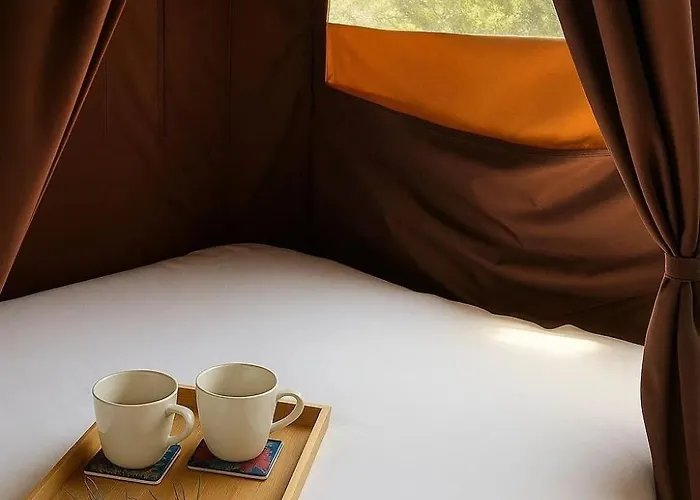 Zecamping 3 Piscine Club Enfant Animations Dog Friendly Hammam *