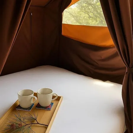 3 Etoiles - Piscine - Ccbeegd *