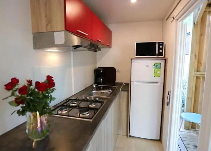 Campsite Zecamping 3 Piscine Club Enfant Animations Dog Friendly Hammam